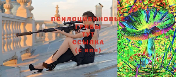 СК Алексин