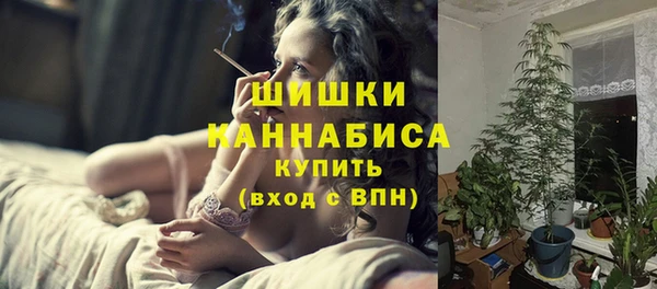 гидра Михайловка