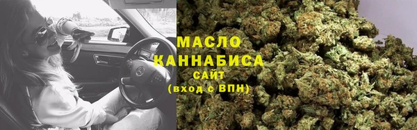гидра Михайловка