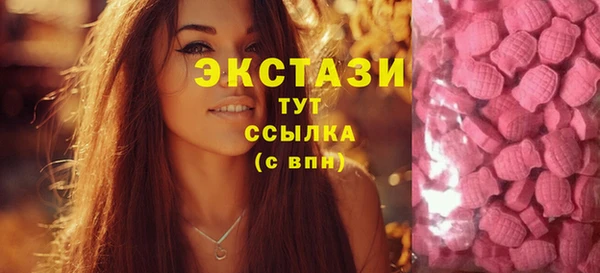 гидра Михайловка
